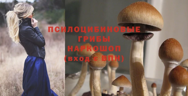 гидропоника Арсеньев
