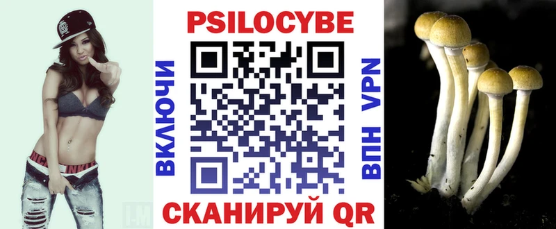 Псилоцибиновые грибы Psilocybine cubensis  Краснослободск 